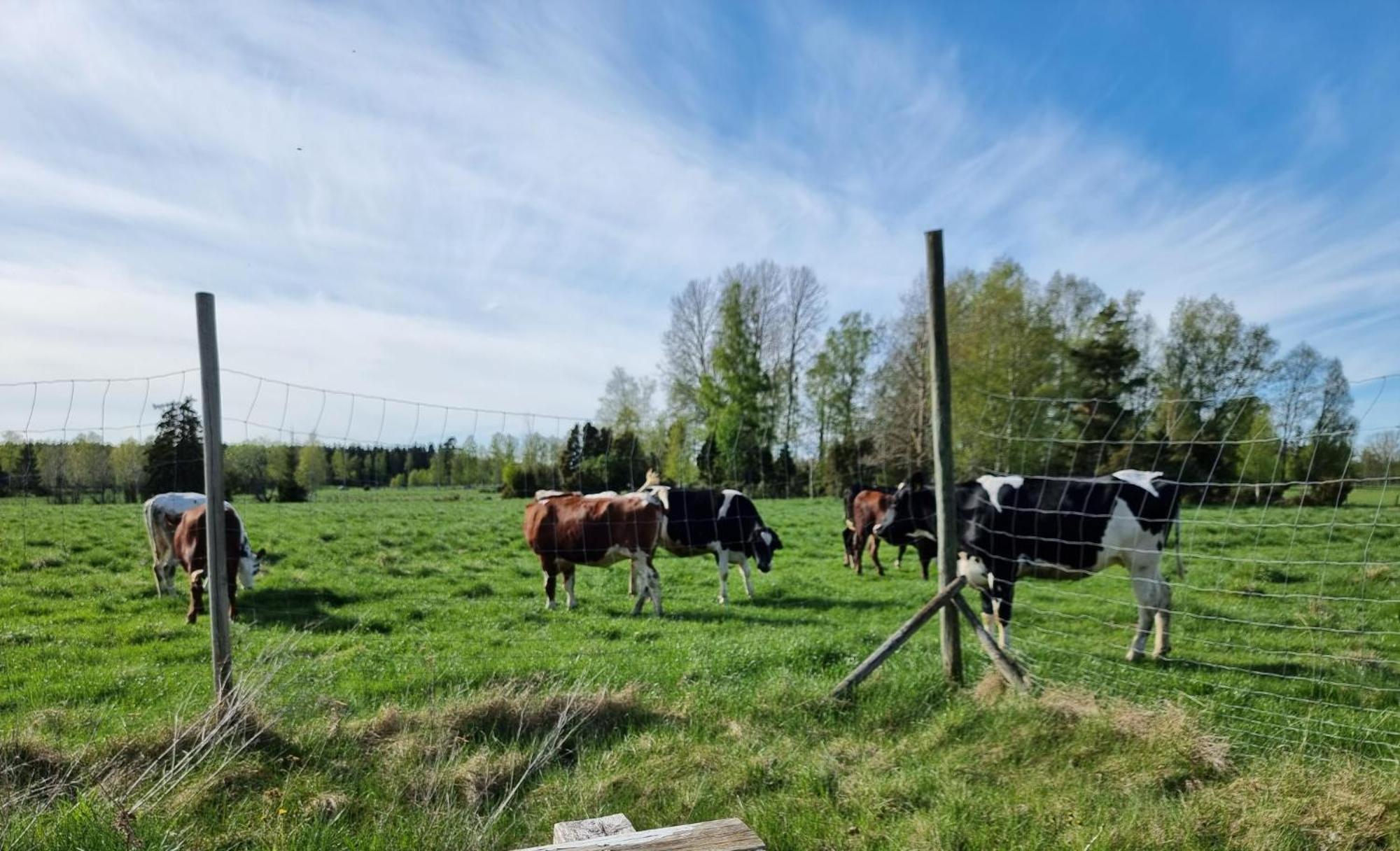 Kaggestorps Gard Villa Hjo Exteriör bild